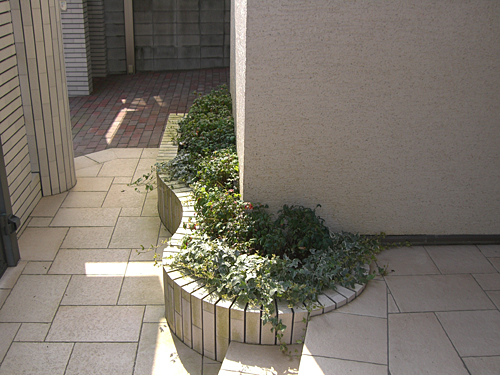 �I�^�t�N�i���e���ƃw�f��