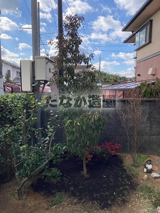 �W���E�����N���}�{�E�V�i��ΎR�@�t�j�̐V�A���s���܂����B