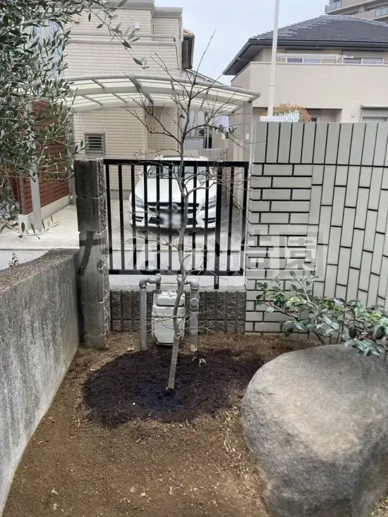 �A���ւ���Ɗ����B 