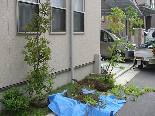 �V���J�V�̈ڐA