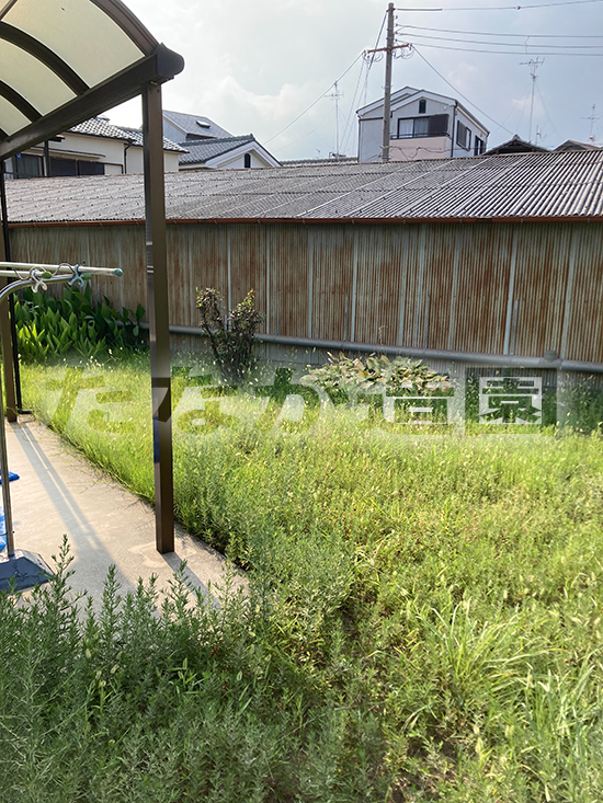 ������ƑO