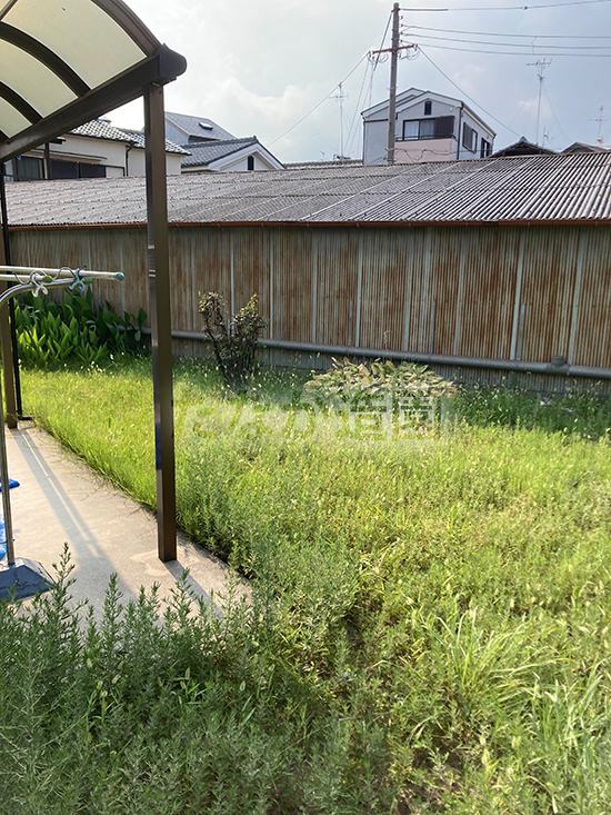 ������ƑO