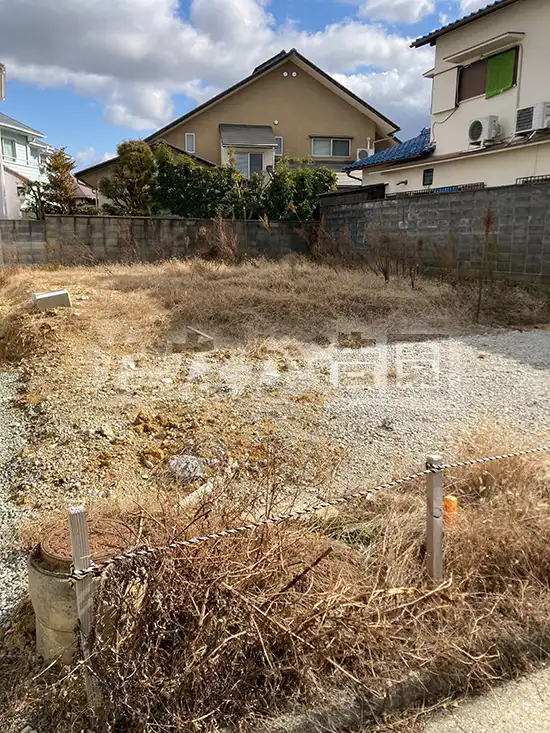 ������ƑO