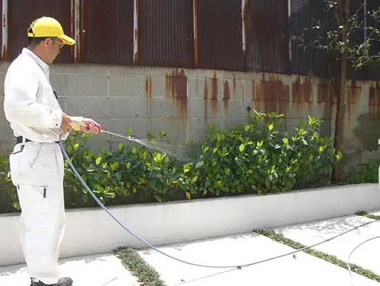 �}�c�i���j�ɖ�܎U�z��