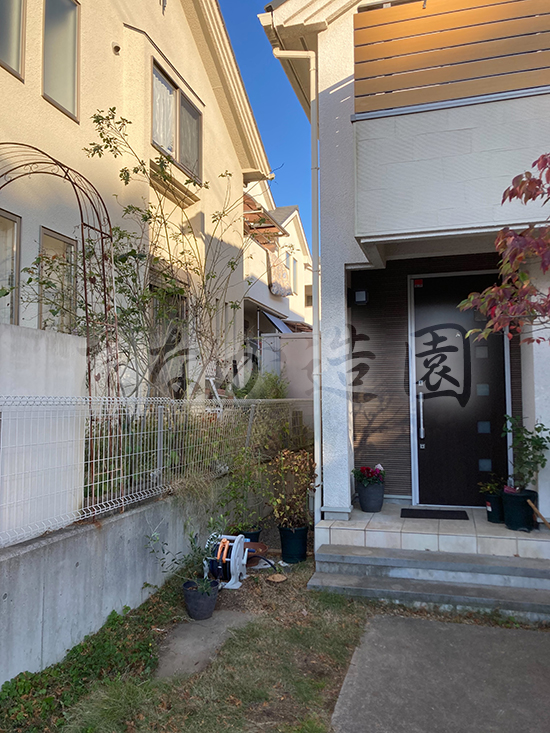 ���̊���