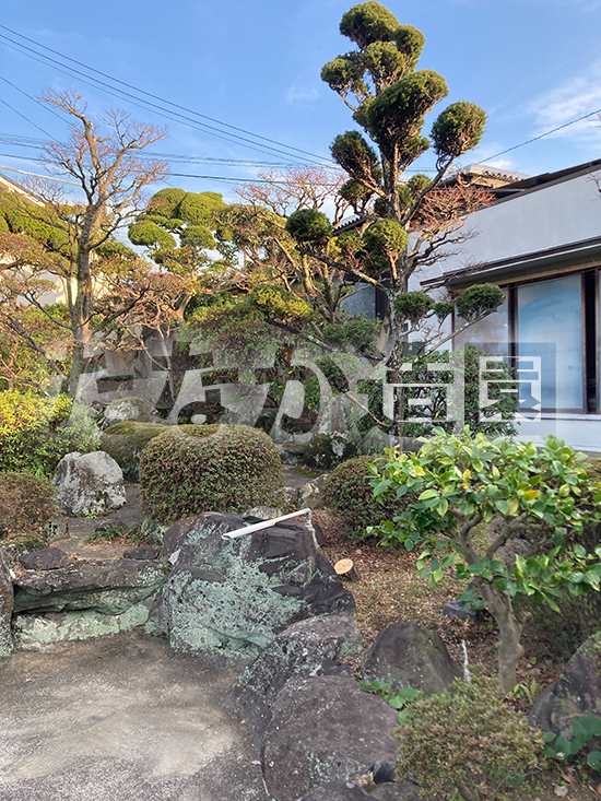 ���̊���